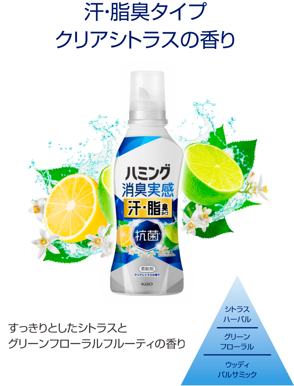汗・脂臭タイプ クリアシトラスの香り