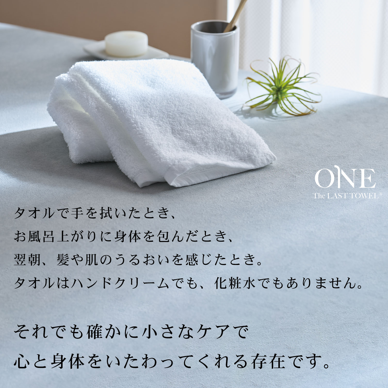 The LAST TOWEL ONE