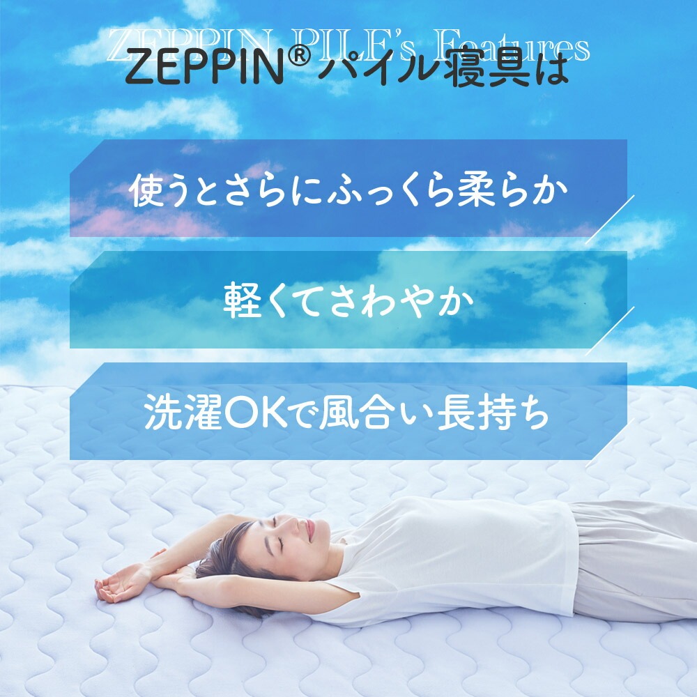 ZEPPIN パイル