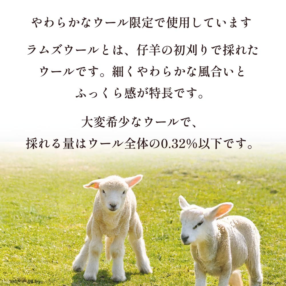 Sofwool ウールのルームブーツ ラムズウールイメージ画像
